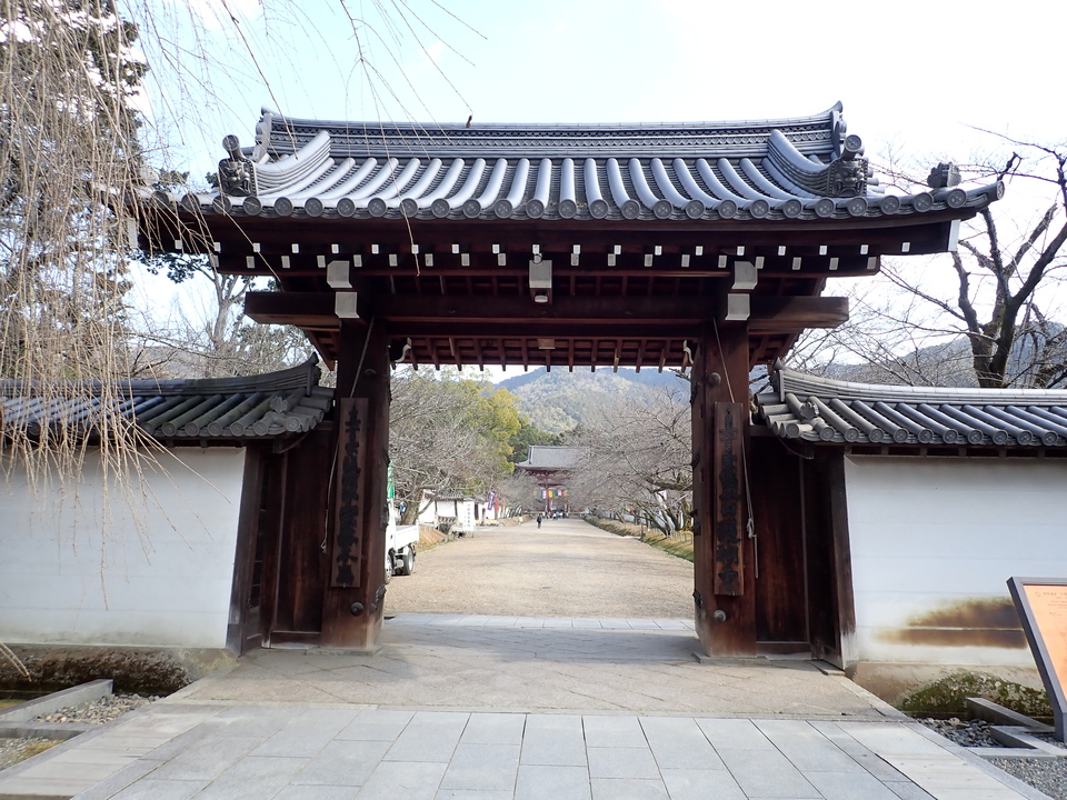 P2131117_mid.jpg
