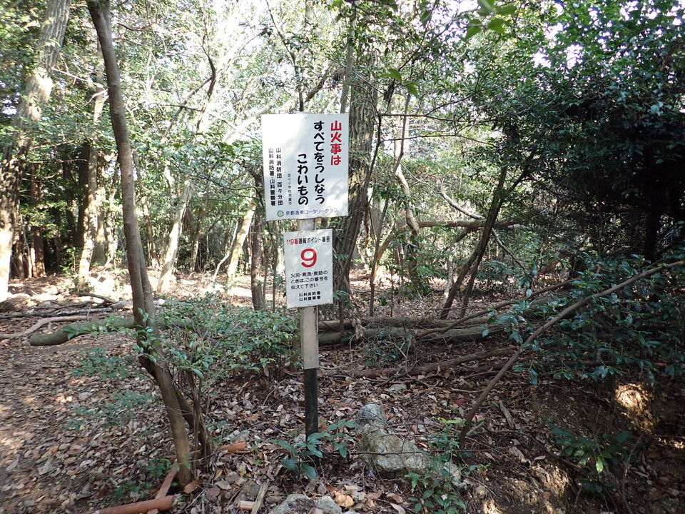 P2131177_mid.jpg