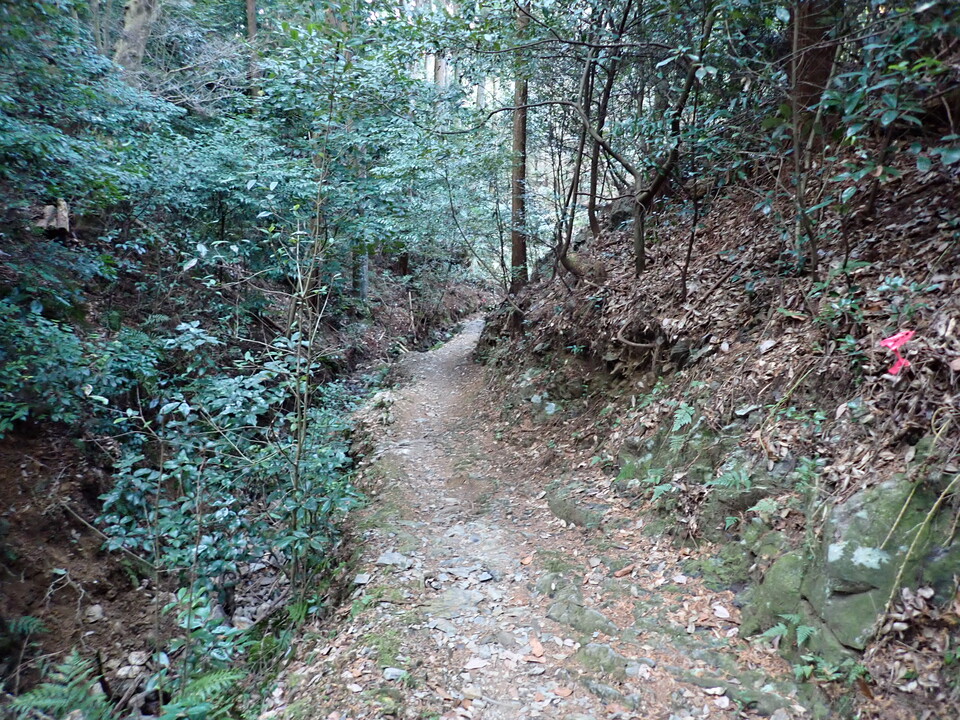 P2131215_mid.jpg