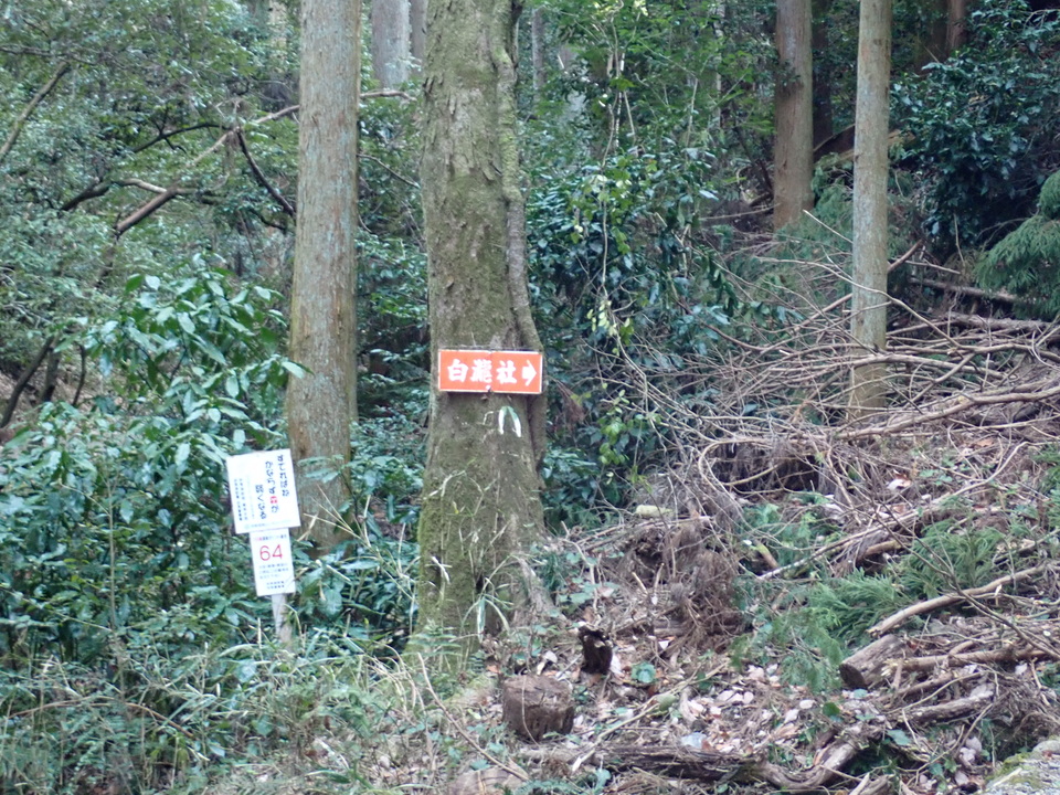 P2131220_mid.jpg