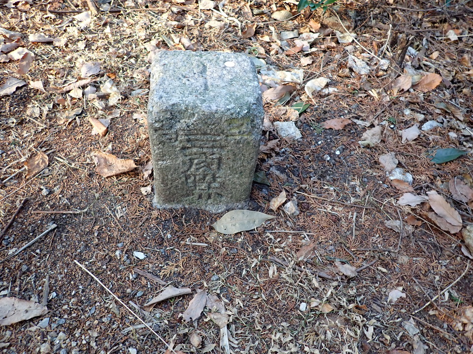 P2131230_mid.jpg