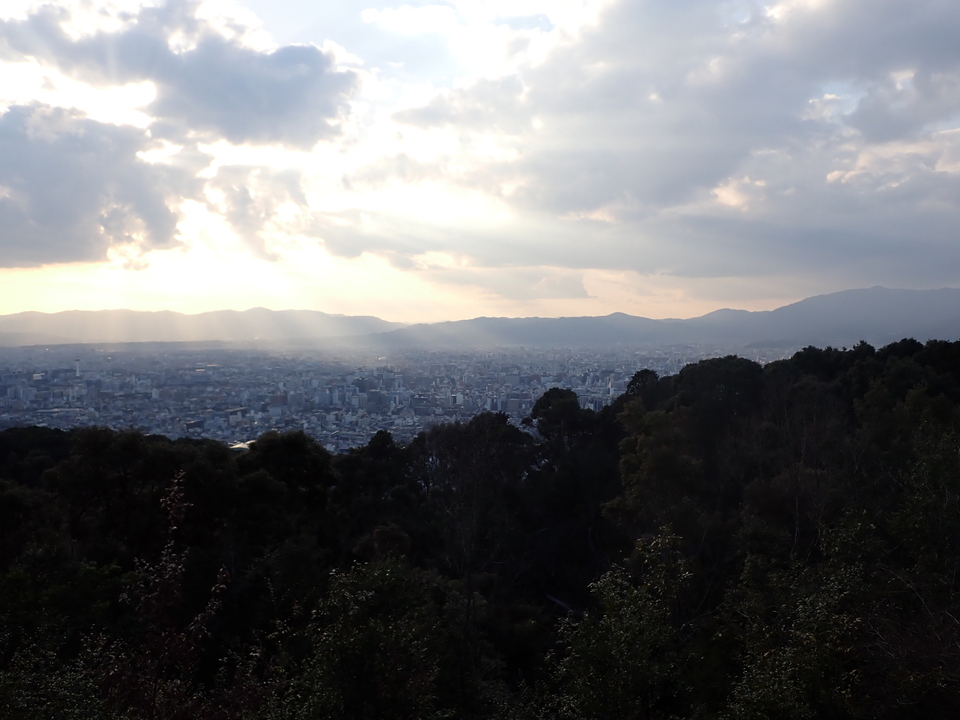 P2131240_mid.jpg