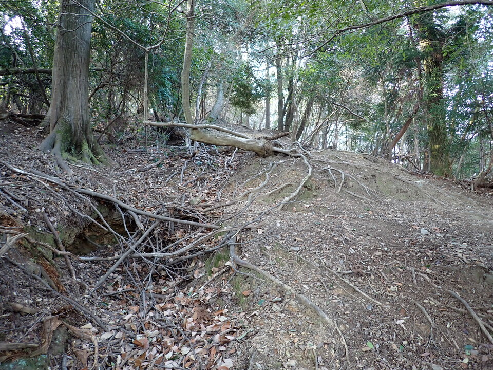 P2201295_mid.jpg