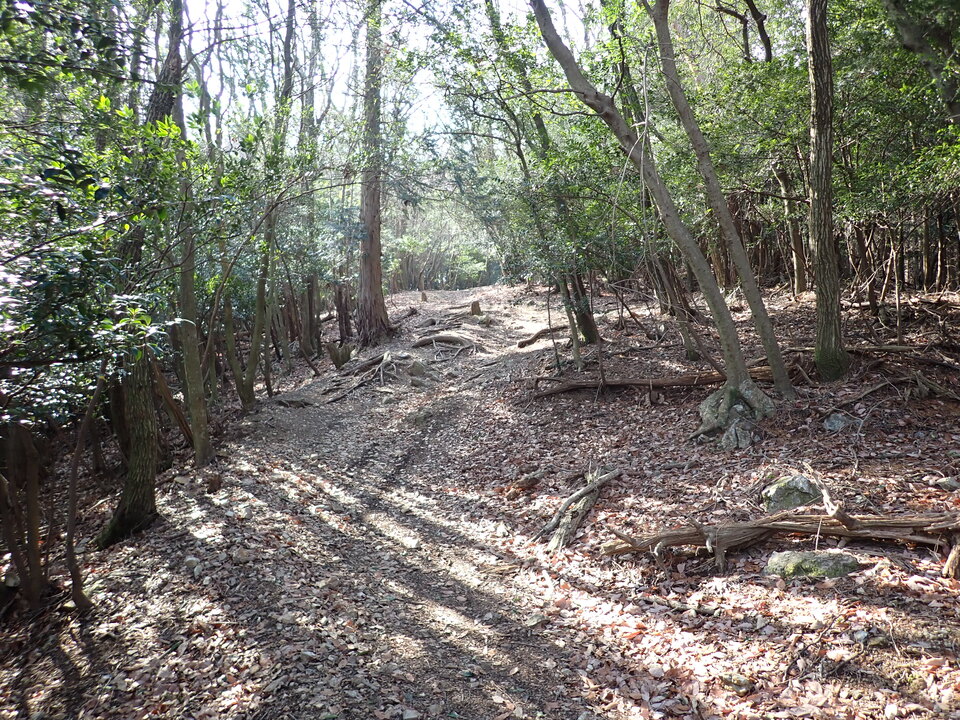 P2201319_mid.jpg
