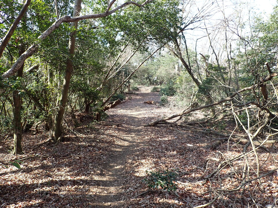 P2201328_mid.jpg