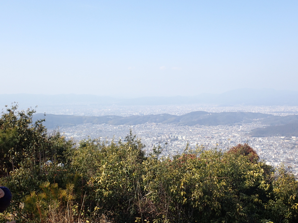 P2201341_mid.jpg