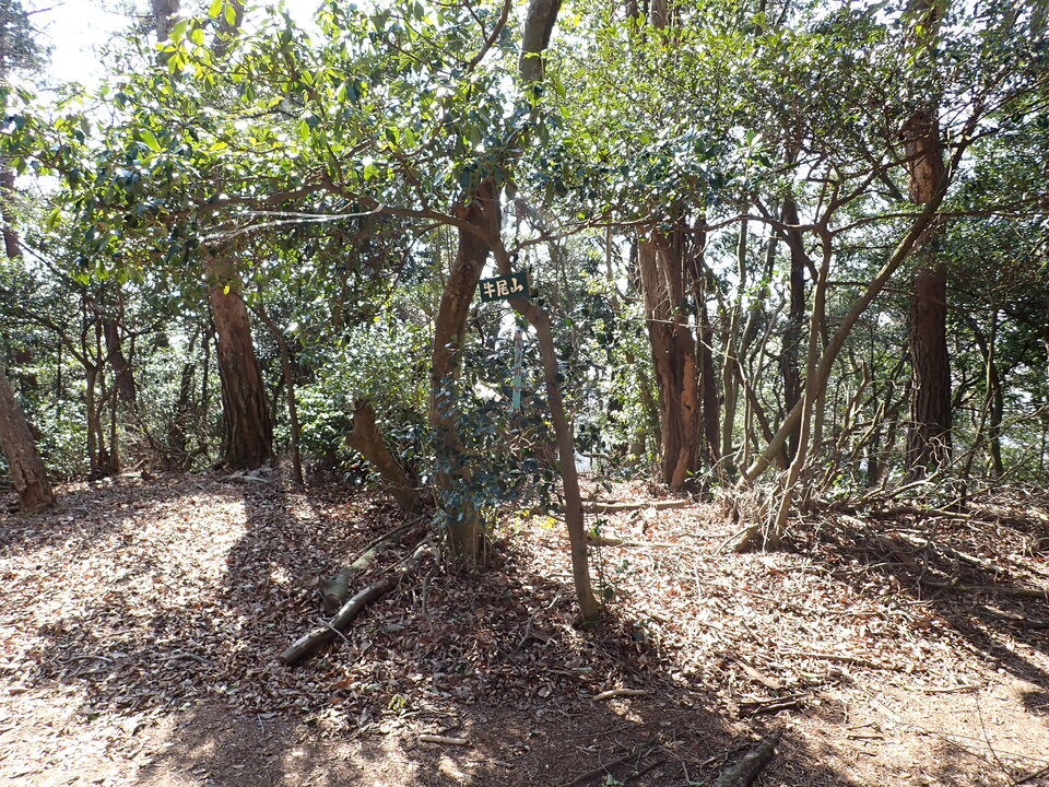 P2201346_mid.jpg