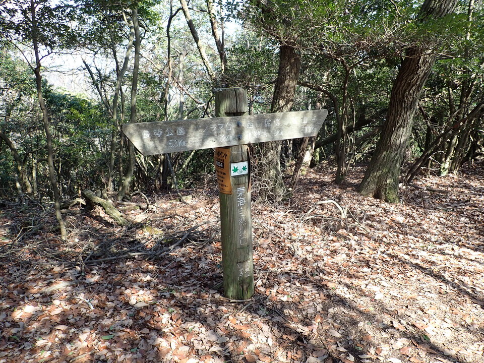 P2201354_mid.jpg