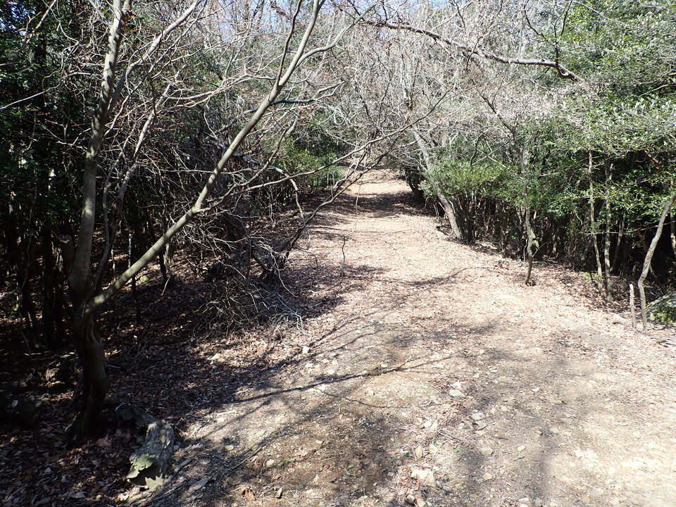 P2201359_mid.jpg
