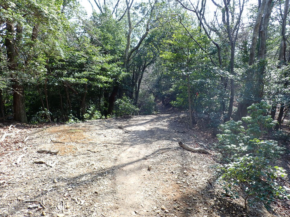 P2201378_mid.jpg