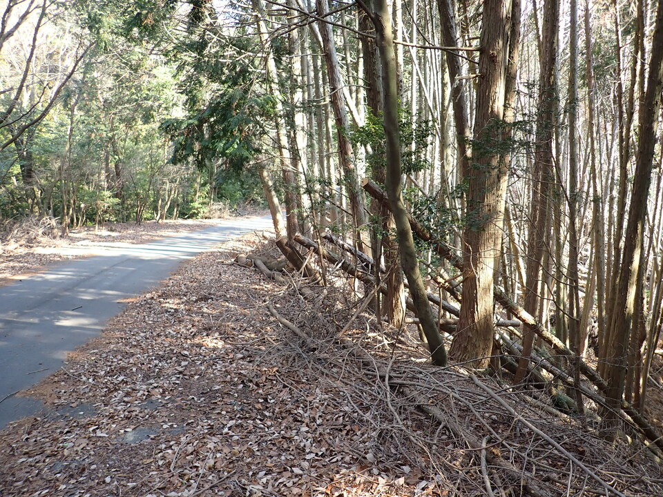 P2201471_mid.jpg