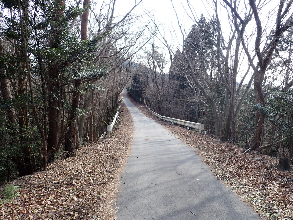 P2201481_mid.jpg