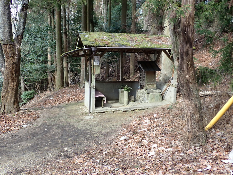 P2201488_mid.jpg