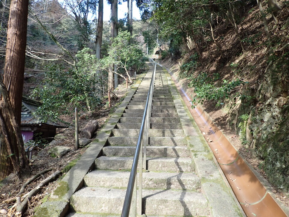 P2201532_mid.jpg