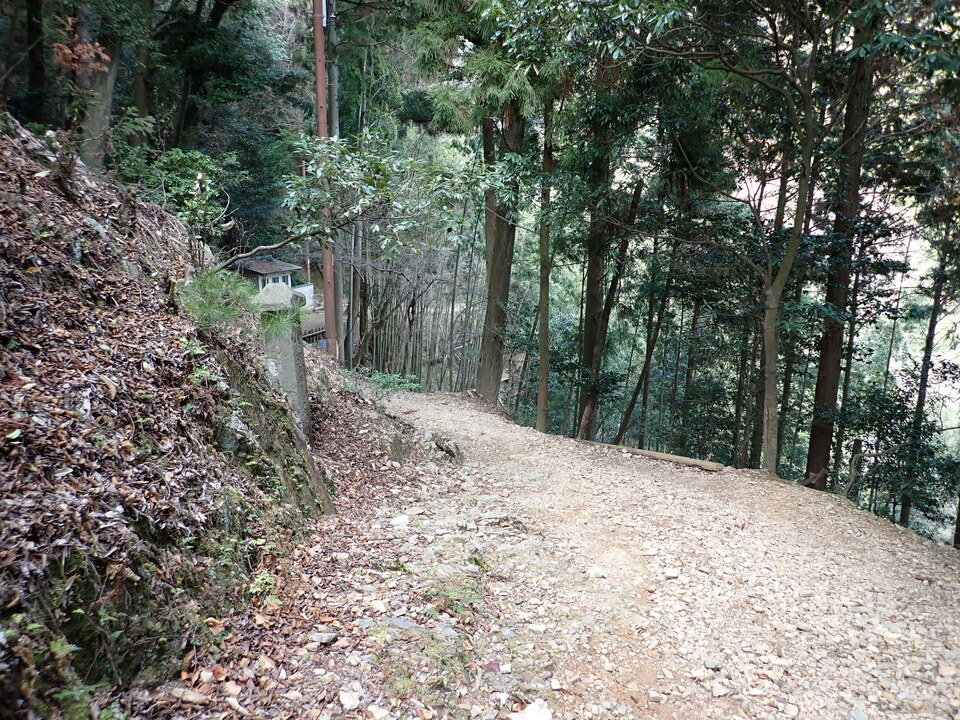 P2201547_mid.jpg