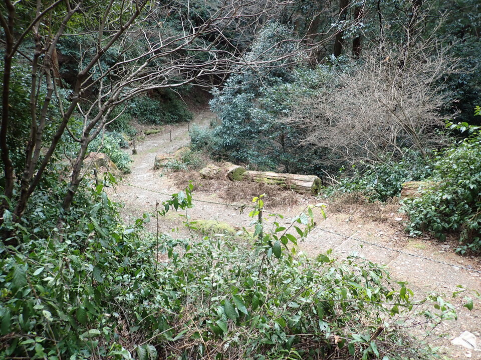 P2201560_mid.jpg