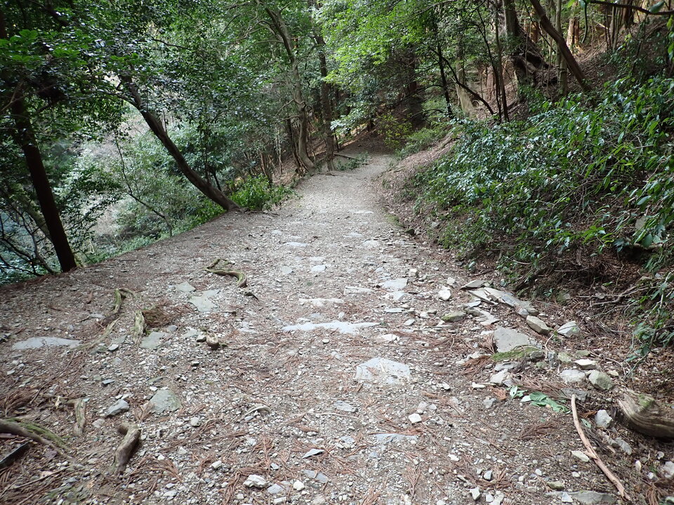 P2201562_mid.jpg