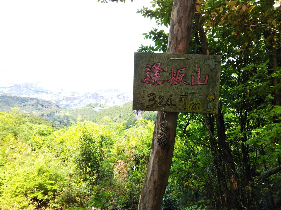 DSC_2579_mid.jpg