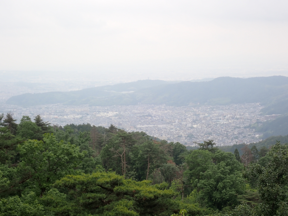 P6051846_mid.jpg