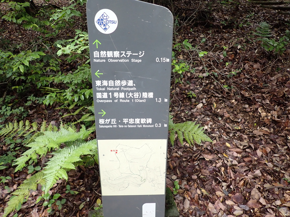 P6051864_mid.jpg