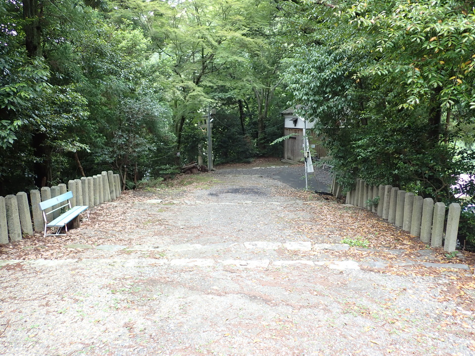 P6051869_mid.jpg