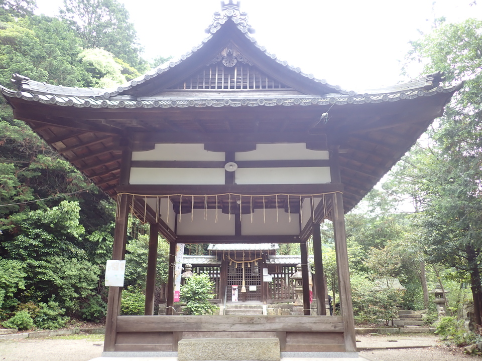 P6051870_mid.jpg