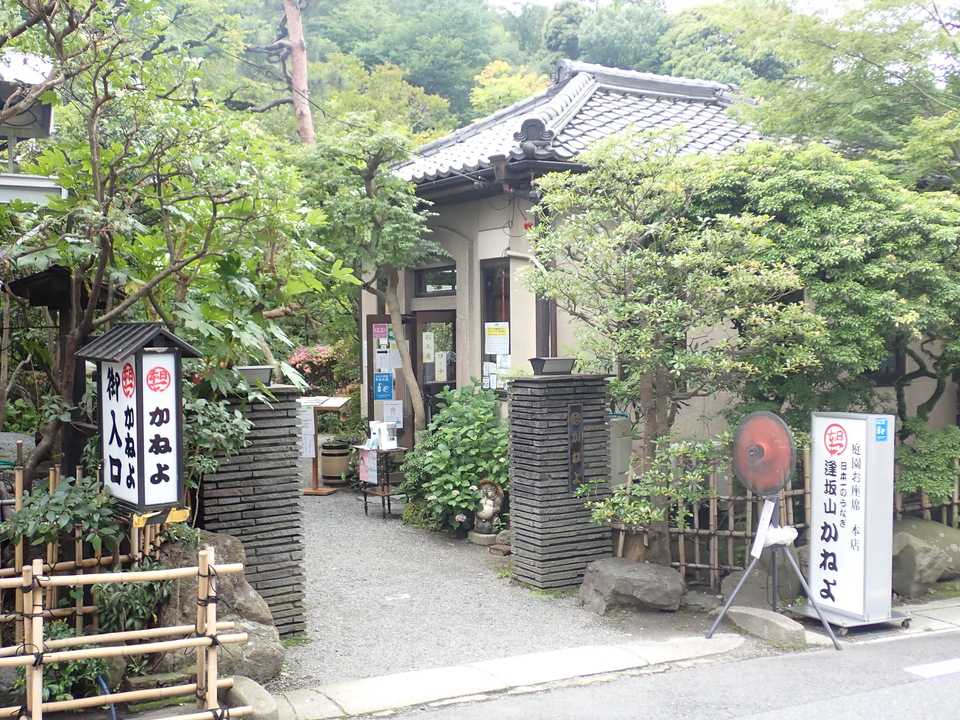 P6051877_mid.jpg