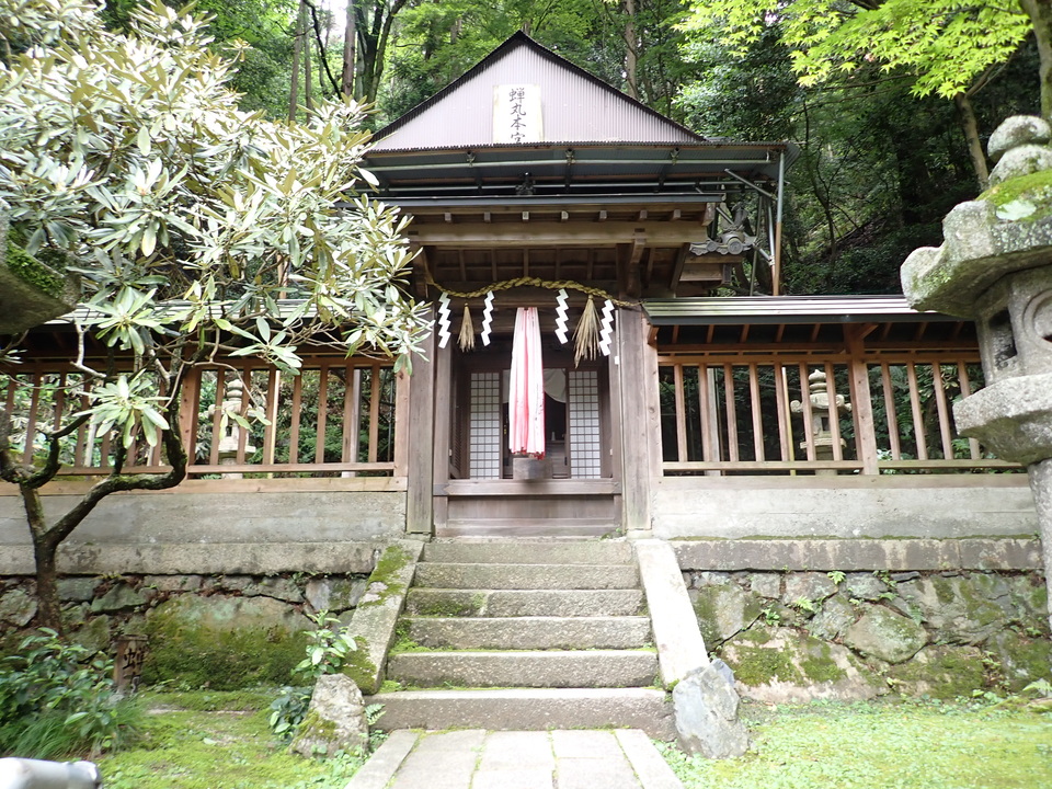 P6051885_mid.jpg
