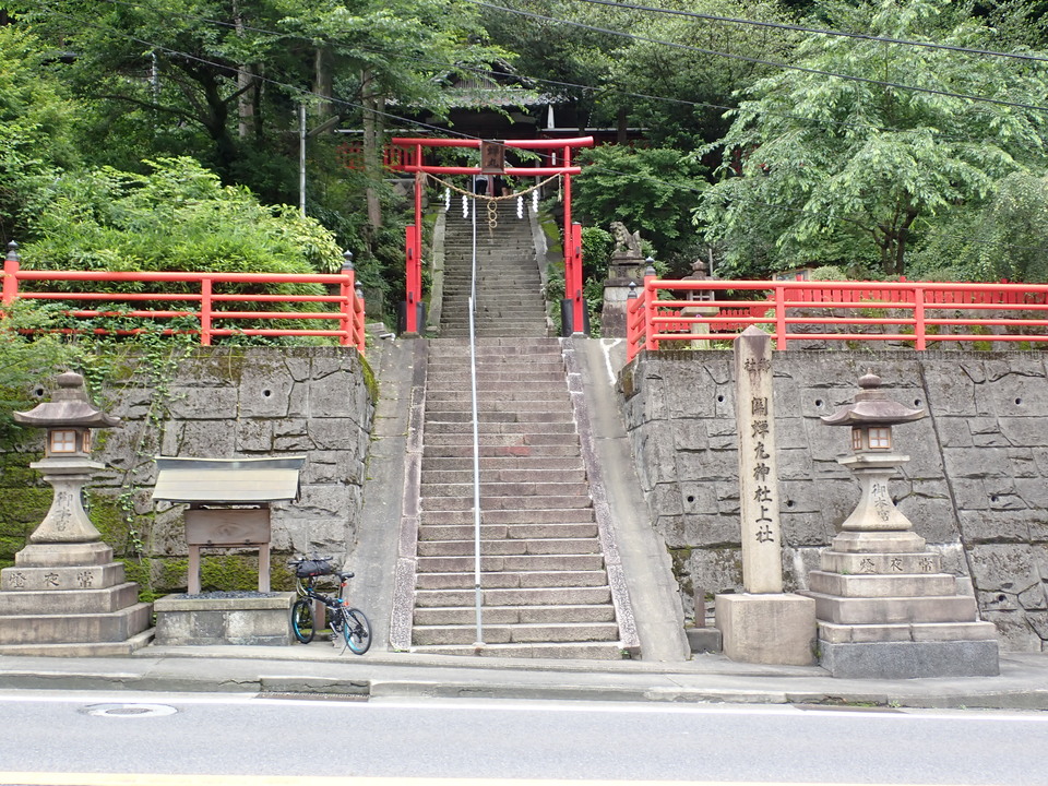 P6051888_mid.jpg