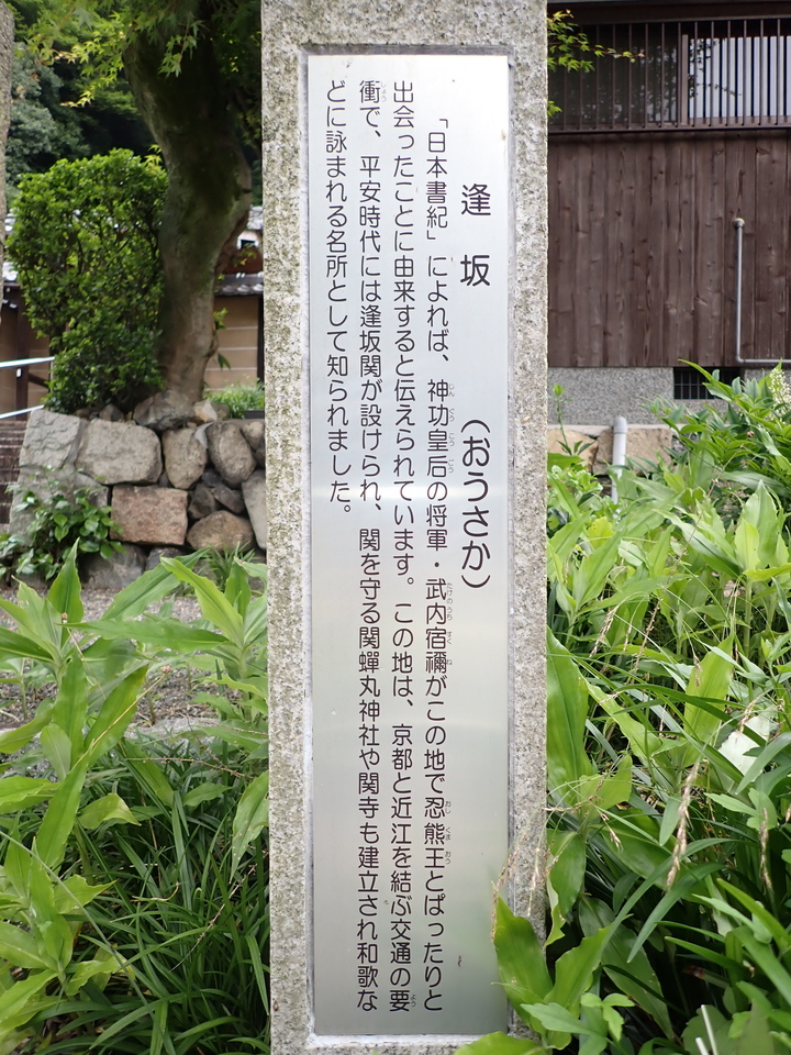 P6051896_mid.jpg
