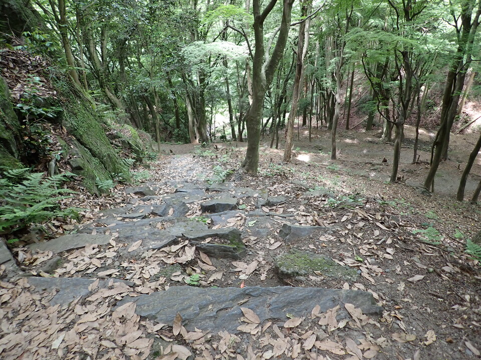 P6121989_mid.jpg