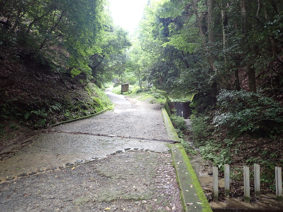 P7032167_mid.jpg