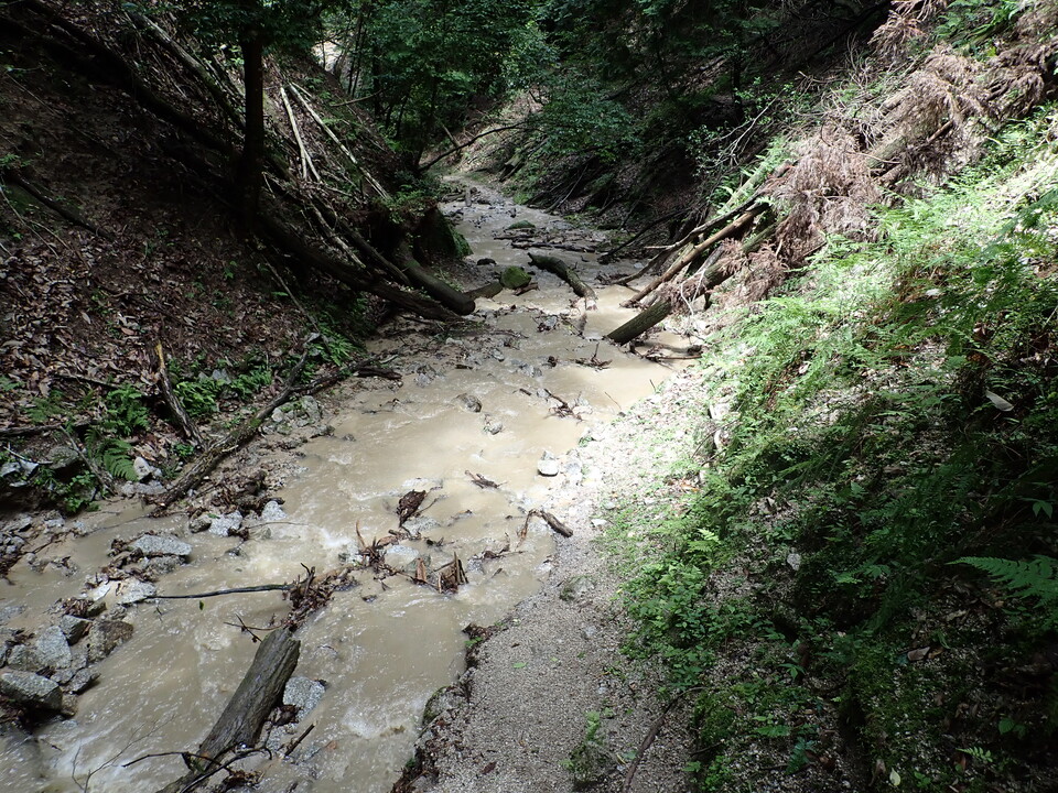 P7032180_mid.jpg