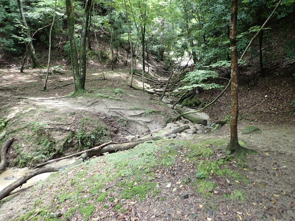 P7032192_mid.jpg