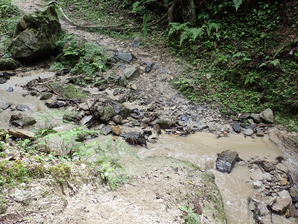 P7032196_mid.jpg