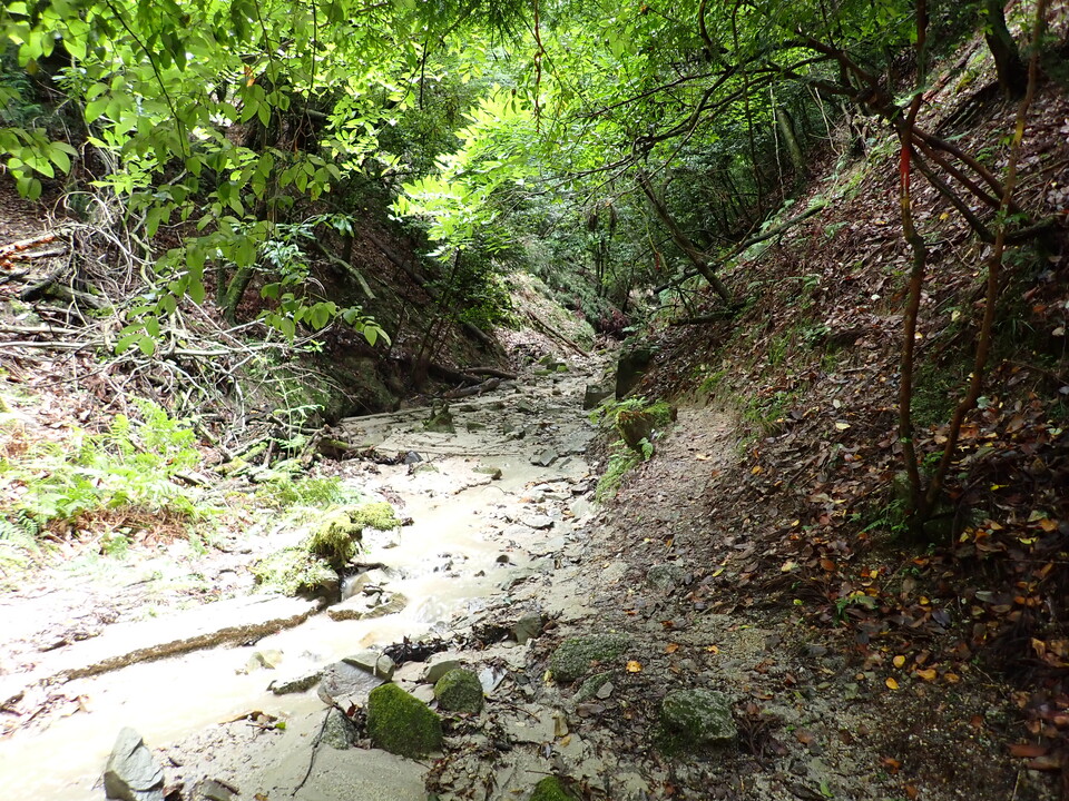 P7032208_mid.jpg