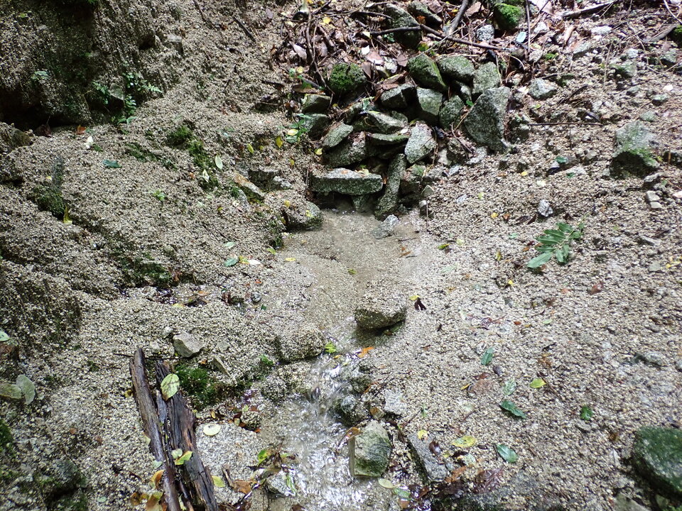 P7032211_mid.jpg