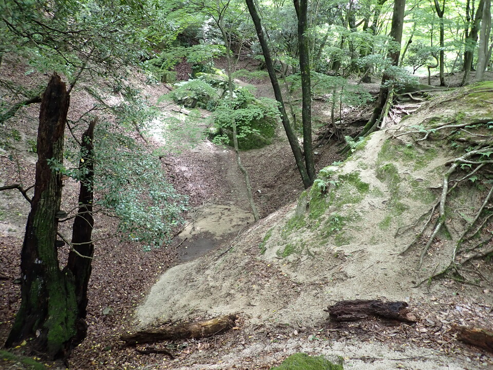 P7032212_mid.jpg
