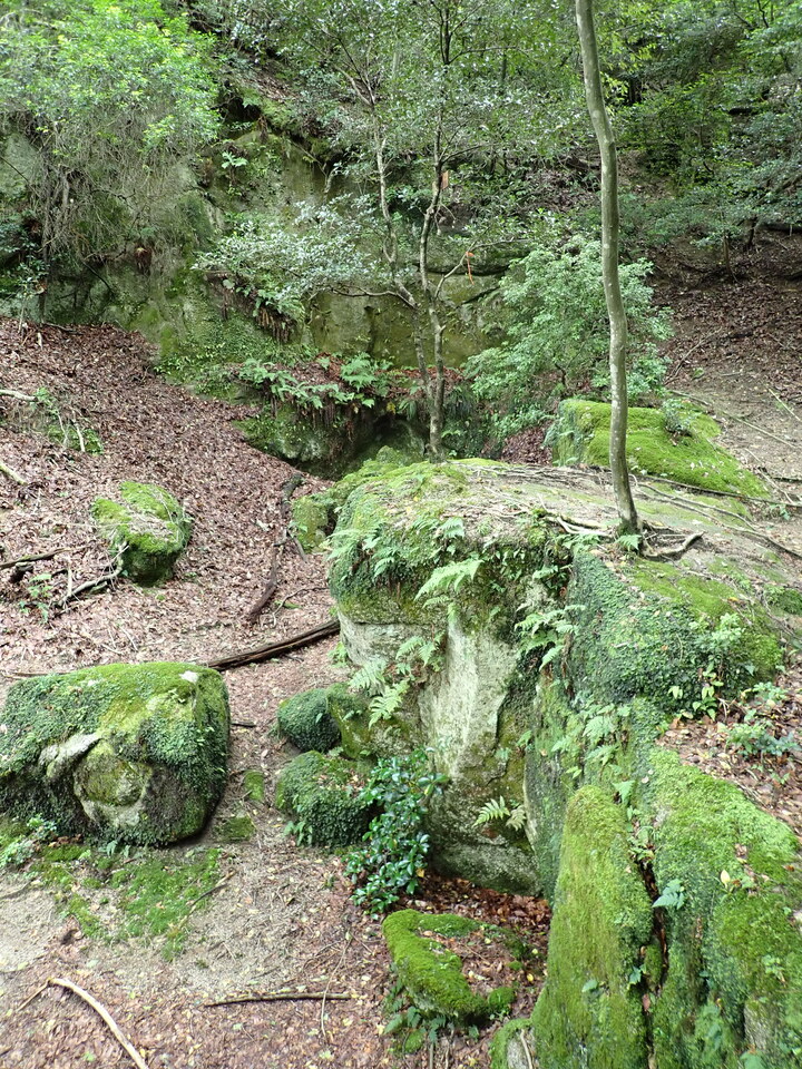 P7032214_mid.jpg