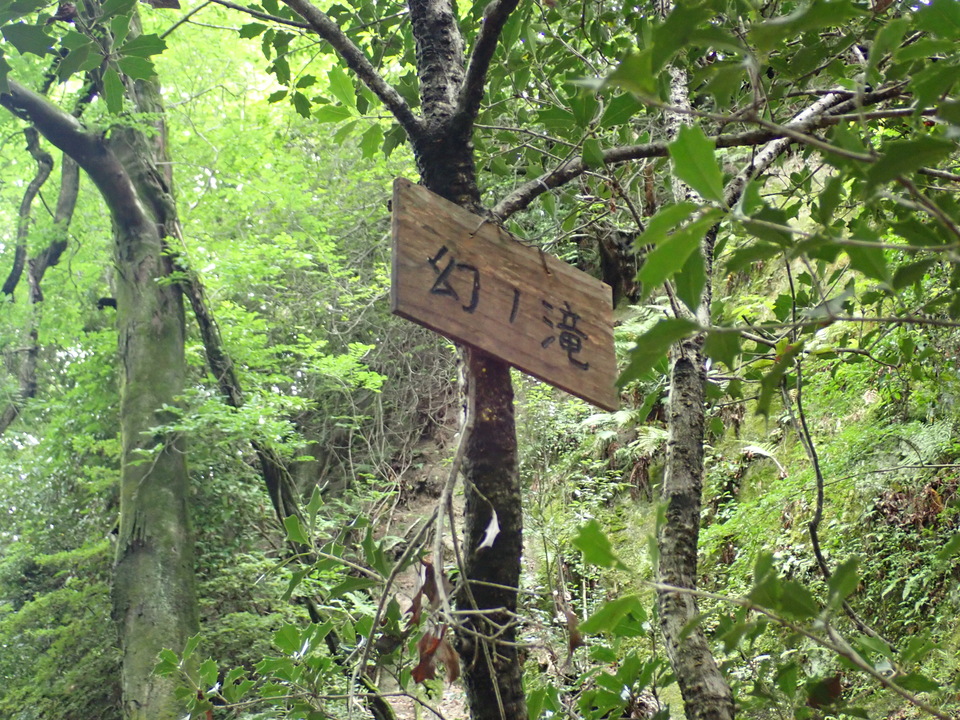 P7032215_mid.jpg