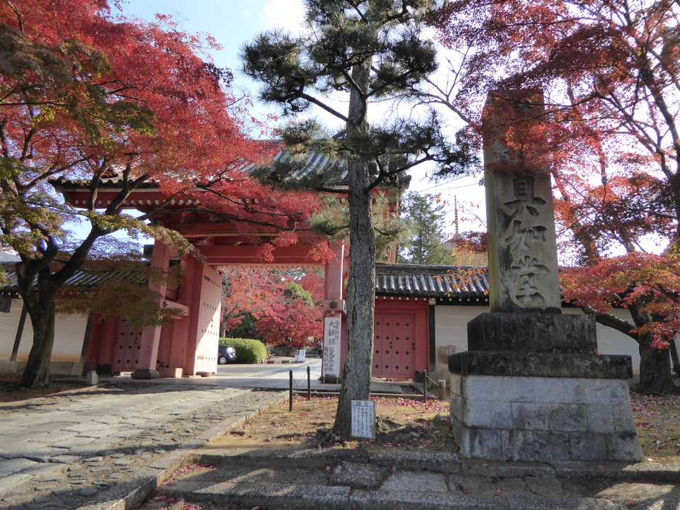 P1030598_mid.jpg