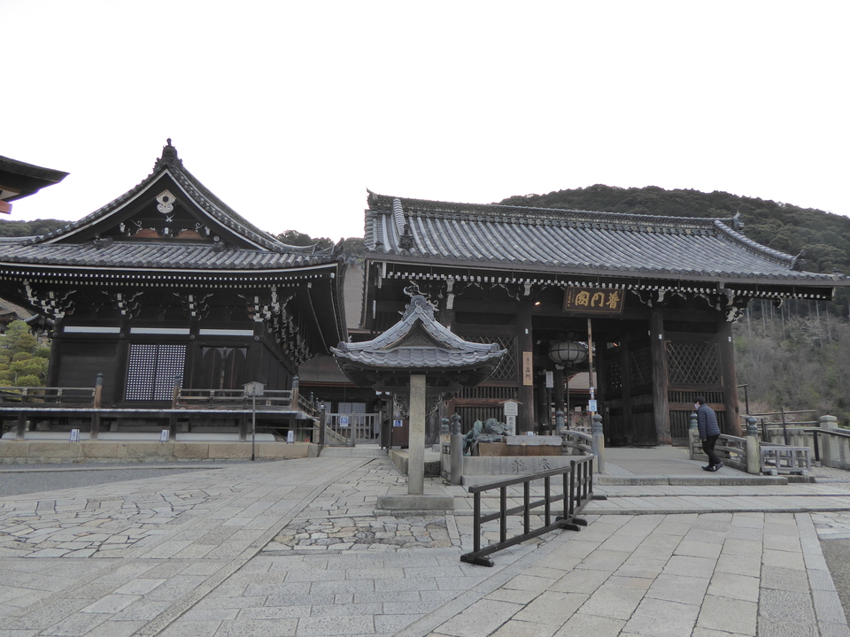 P1030773_mid.jpg