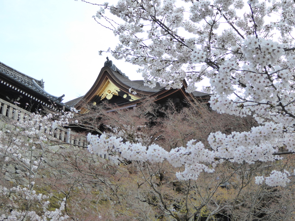 P1030815_mid.jpg