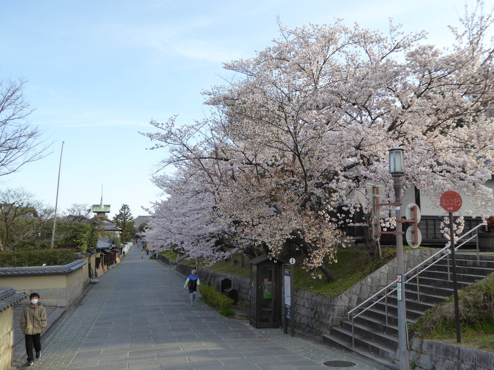P1030825_mid.jpg