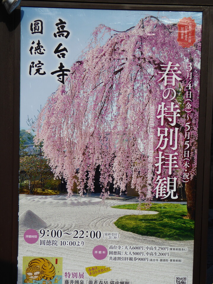 P1030833_mid.jpg