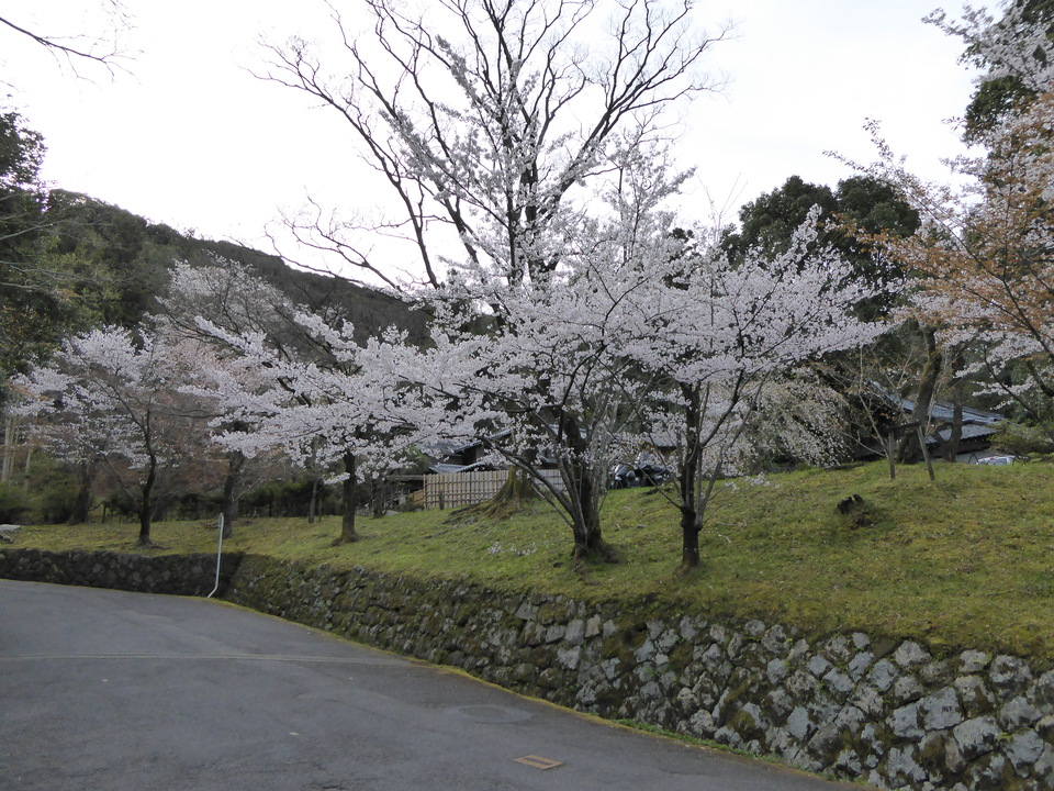 P1030863_mid.jpg