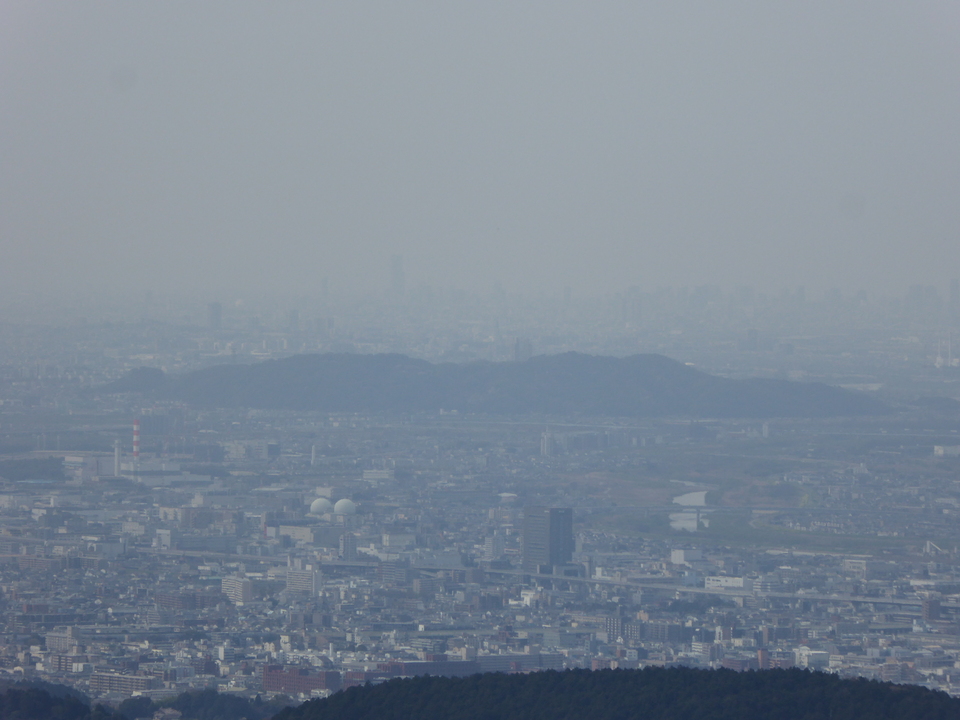 P1030928_mid.jpg