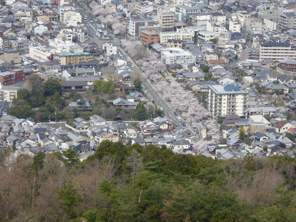 P1030940_mid.jpg