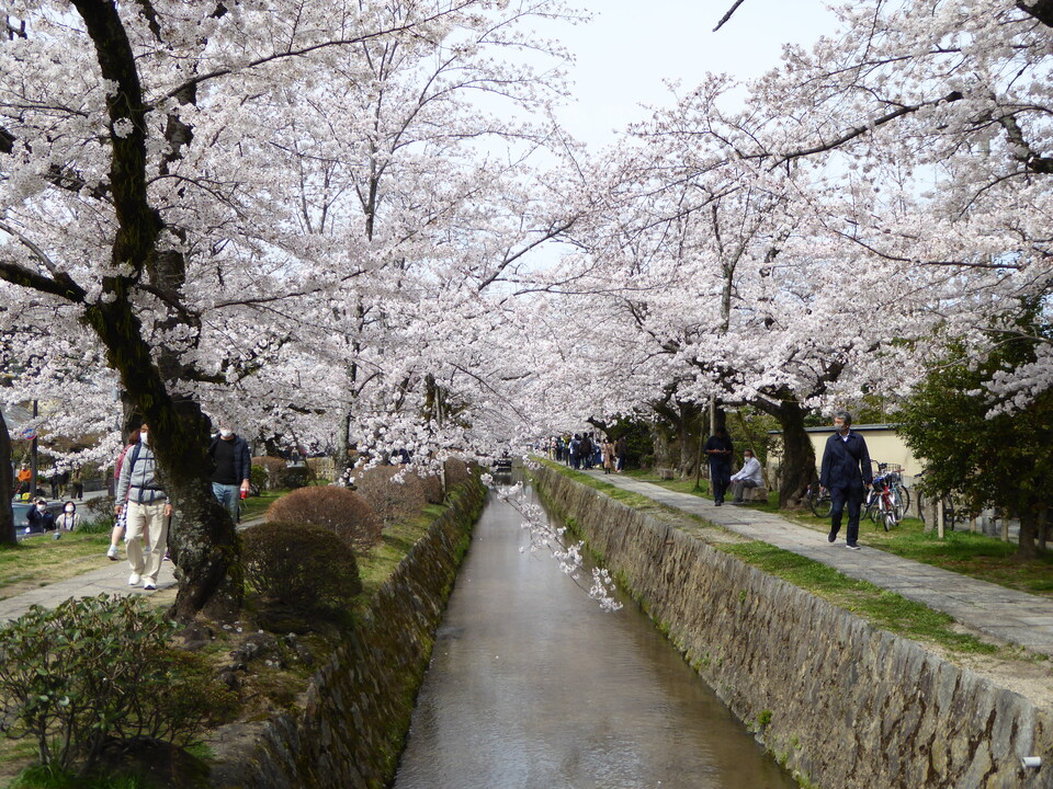 P1030948_mid.jpg