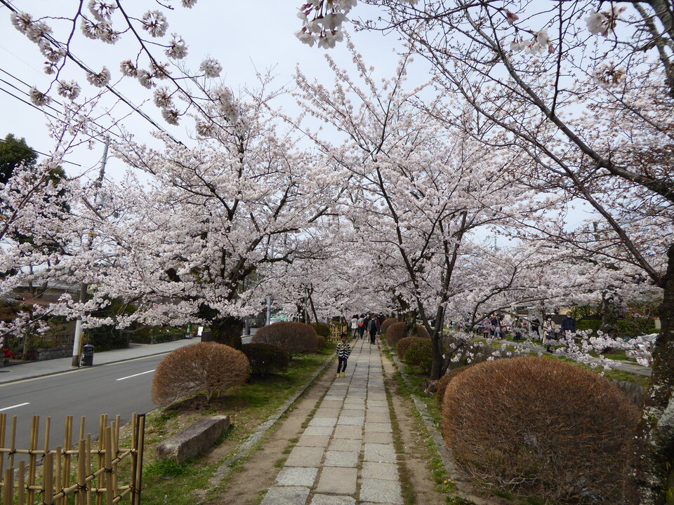 P1030962_mid.jpg